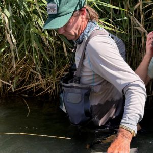 Heritage Twill Hat - Forest Green