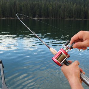 Trout & Kokanee Trolling Rods